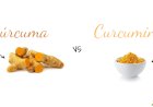 Cúrcuma vs Curcumina: ¿Cuál Deberías Consumir?