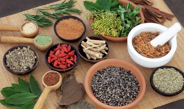 How Can You Purify Your Blood with Ayurvedic Medicine?