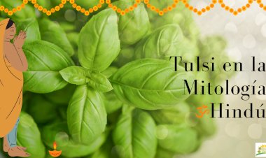 La Conexión Divina: Explorando el Papel de Tulsi en la Mitología y los Rituales Hindúes