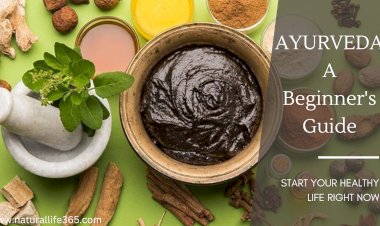 Ayurveda 101: A Beginner's Guide to the World's Oldest Healing System