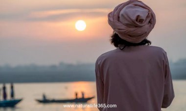 The Four Stages of Life: A Hindu Perspective on Personal Growth