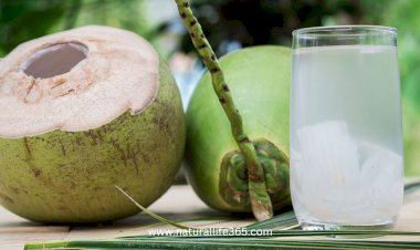 10 Reasons to Add Coconut Water to Your Diet