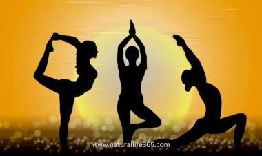 Why International Yoga Day is celebrated?