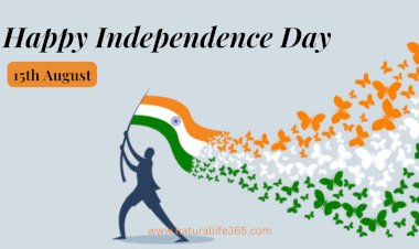 A Tribute to India Independence Day: Reflecting on Courage and Heritage