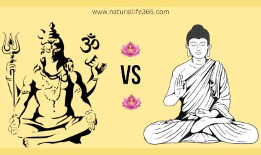 Differences between Buddhism and Hinduism