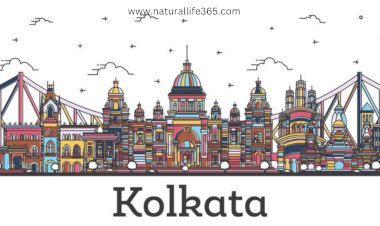 Kolkata Unplugged: Diving Into The Heart Of The City
