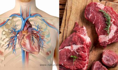 What Happen When You Stop Eating Red Meat?