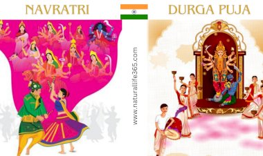 Difference Between Navratri and Durga Puja Celebrations