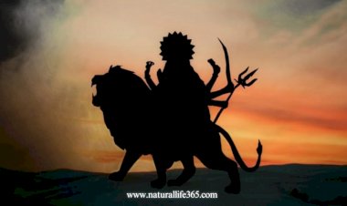 Nine Nights, Nine Forms: Maa Durga's Avatars in Navratri