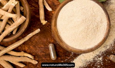 Benefits of Ashwagandha According to Ayurvedic Medicine