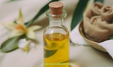 What Oils are Typically Used in Abhyanga Massage, and What are Their Benefits?