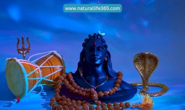 The Spiritual Meaning Behind Lord Shiva's Symbols