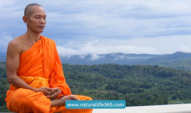 Meditation Tips from a Monk: Achieving Inner Peace and Clarity