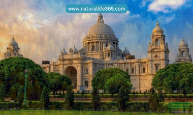 The Story Behind the Victoria Memorial in Kolkata: Architecture and Significance