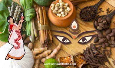 Ayurvedic Remedies for Energy and Immunity During Festival Season