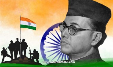 Netaji Subhas Chandra Bose: The Revolutionary Leader of India's Freedom Struggle