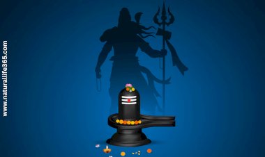 Maha Shivratri 2025: Observing the Great Night of Lord Shiva
