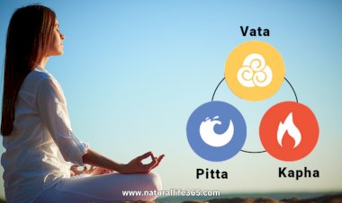 The Principles of Tridosha in Ayurvedic Medicine Explained