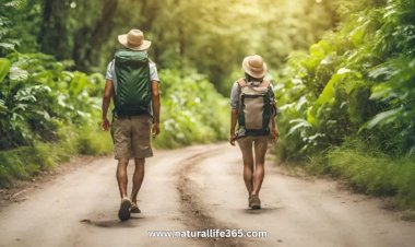 A Beginner's Guide to Sustainable Travel in India: Exploring Eco-Friendly Destinations