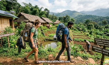 Guía para Principiantes del Turismo Sostenible en India: Explorando Destinos Ecológicos