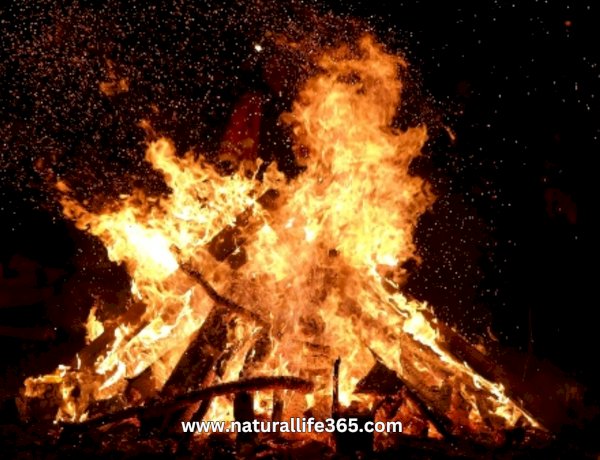 Holika Dahan and Holi 2025: Significance and Celebrations Across India