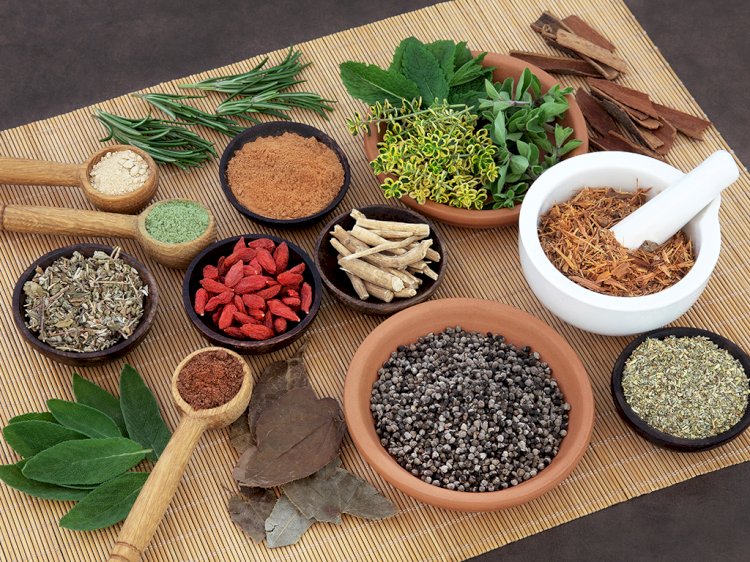 How Can You Purify Your Blood with Ayurvedic Medicine?