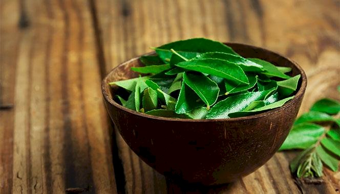 Do Curry Leaves Have Medicinal Properties?