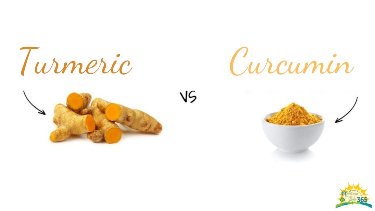 Turmeric vs Curcumin: Which Should You Take?