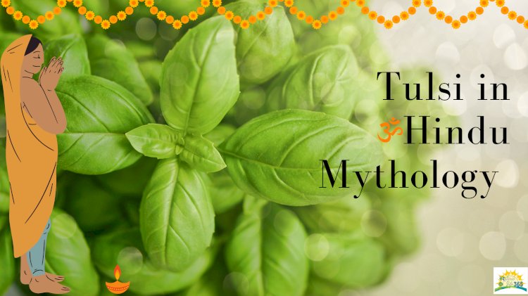 The Divine Connection Exploring the Role of Tulsi in Hindu