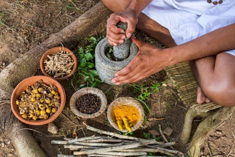 Ayurveda 101 A Beginner's Guide to the World's Oldest Healing System