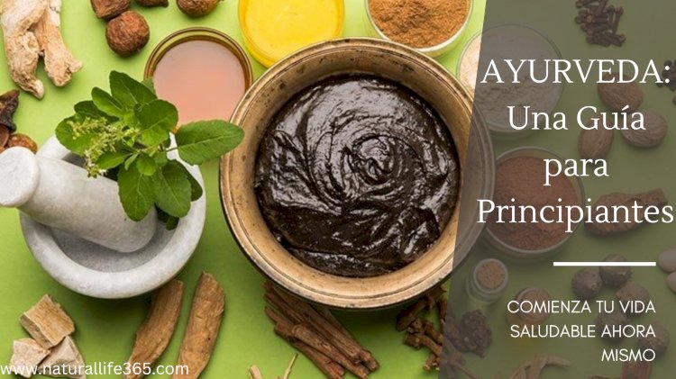 Ayurveda 101: Una Guía para Principiantes Sobre El Sistema de Curación Más Antiguo del Mundo