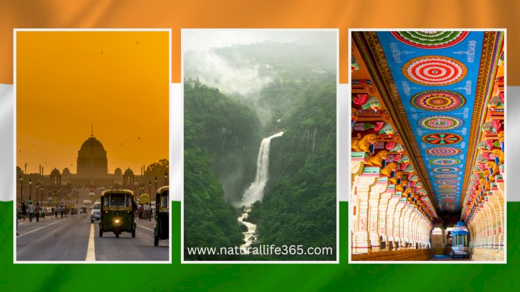 Best 20 Places To Visit In India At Least Once In Your Lifetime - Natural  Life 365