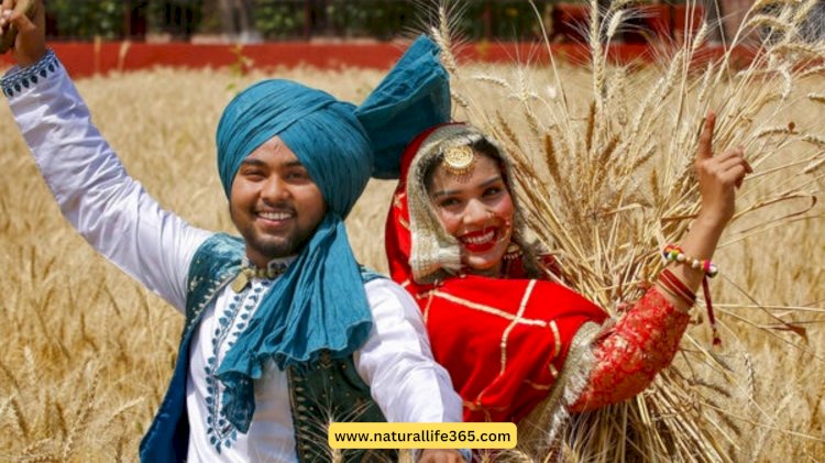 Makar Sankranti y Pongal: Celebraciones de los Festivales de la Cosecha en la India